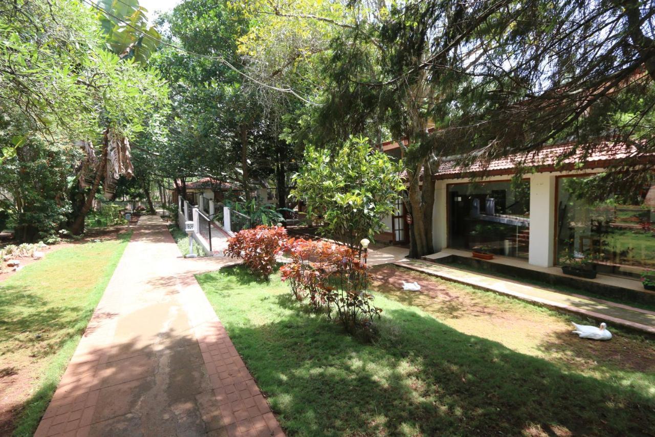 Zeenath Taj Gardens Yelagiri Εξωτερικό φωτογραφία