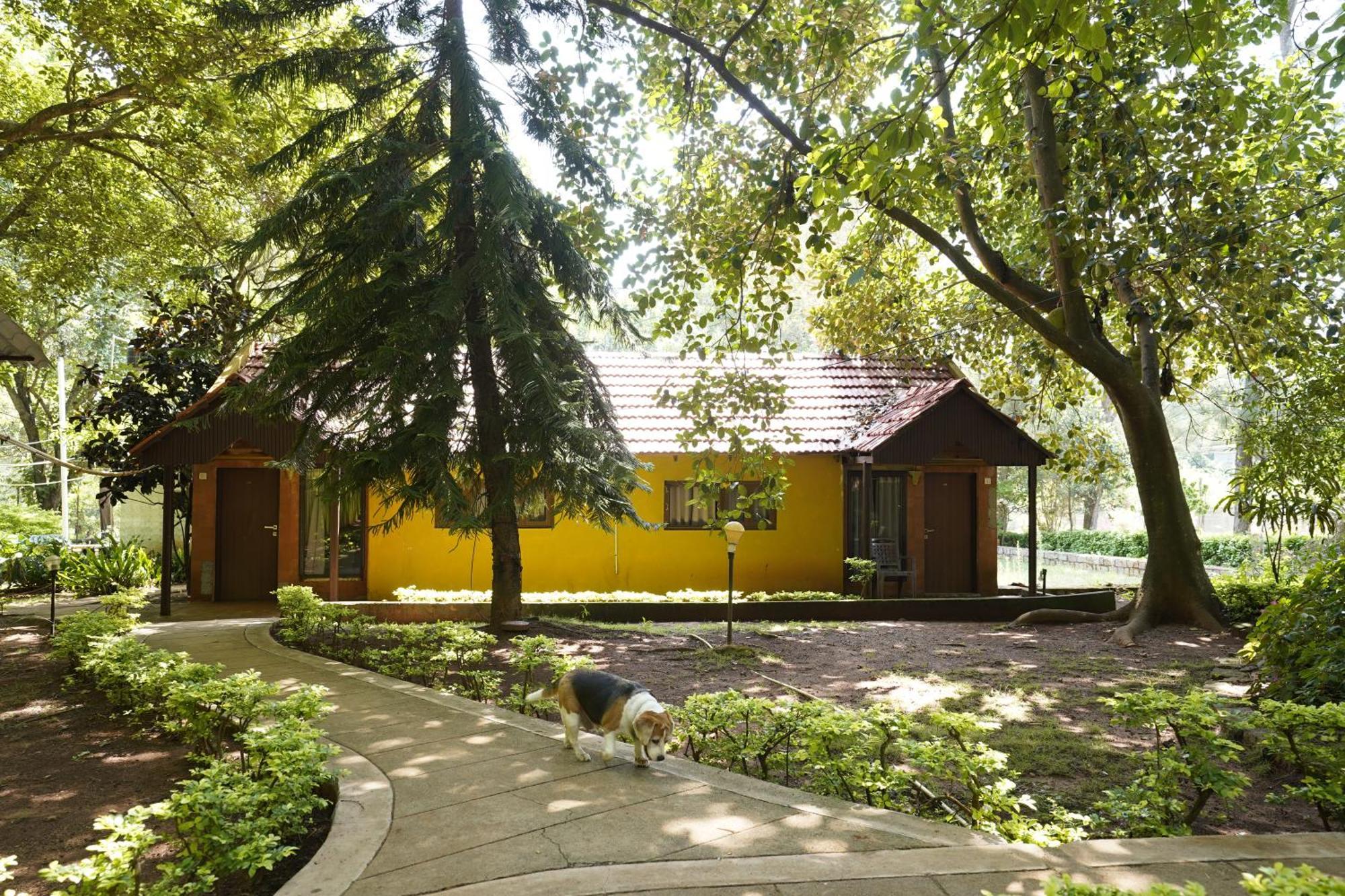 Zeenath Taj Gardens Yelagiri Εξωτερικό φωτογραφία
